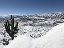 photo thumbnail #7