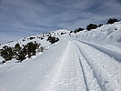 photo thumbnail #1