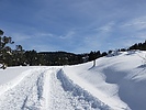 photo thumbnail #2