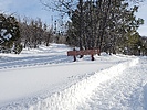 photo thumbnail #6