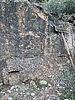 photo thumbnail #15