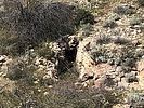 photo thumbnail #14