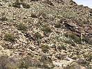 photo thumbnail #15