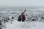 photo thumbnail #2