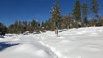 photo thumbnail #15