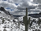 photo thumbnail #4