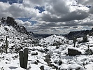 photo thumbnail #5