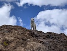 photo thumbnail #9