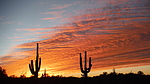 photo thumbnail #10