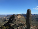 photo thumbnail #2