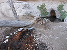 Featured Full Photo