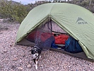 photo thumbnail #3