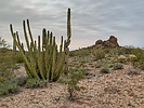 photo thumbnail #4