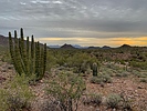 photo thumbnail #5