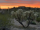 photo thumbnail #7