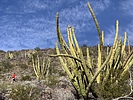 photo thumbnail #10