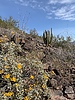 photo thumbnail #11