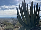 photo thumbnail #12