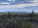 photo thumbnail #15