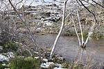 photo thumbnail #13