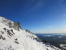 photo thumbnail #12