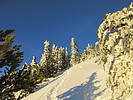 photo thumbnail #15