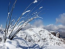 photo thumbnail #12