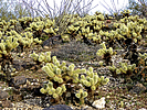 2019-02-25 :1: Burnt Mountain :: FLYING_FLIVER