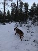 photo thumbnail #4