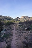 photo thumbnail #2