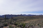 photo thumbnail #7