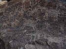 photo thumbnail #15