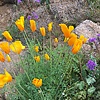 photo thumbnail #2