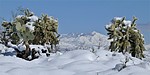 photo thumbnail #9