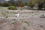 photo thumbnail #2