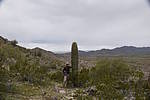 photo thumbnail #9