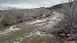 photo thumbnail #9