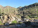 photo thumbnail #1