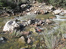 photo thumbnail #6