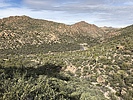 photo thumbnail #5