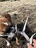 photo thumbnail #5
