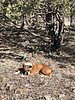 photo thumbnail #7