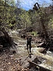 photo thumbnail #14