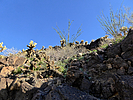 photo thumbnail #6