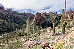 photo thumbnail #15