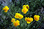 photo thumbnail #13