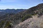 photo thumbnail #13