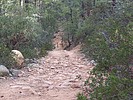 photo thumbnail #1
