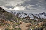photo thumbnail #3