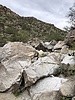 photo thumbnail #2